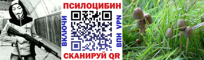 Галлюциногенные грибы Magic Shrooms что такое Салаир