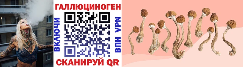 Псилоцибиновые грибы Magic Shrooms Салаир