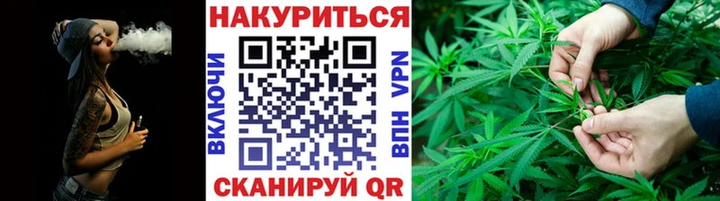 цены   Салаир  МАРИХУАНА семена 